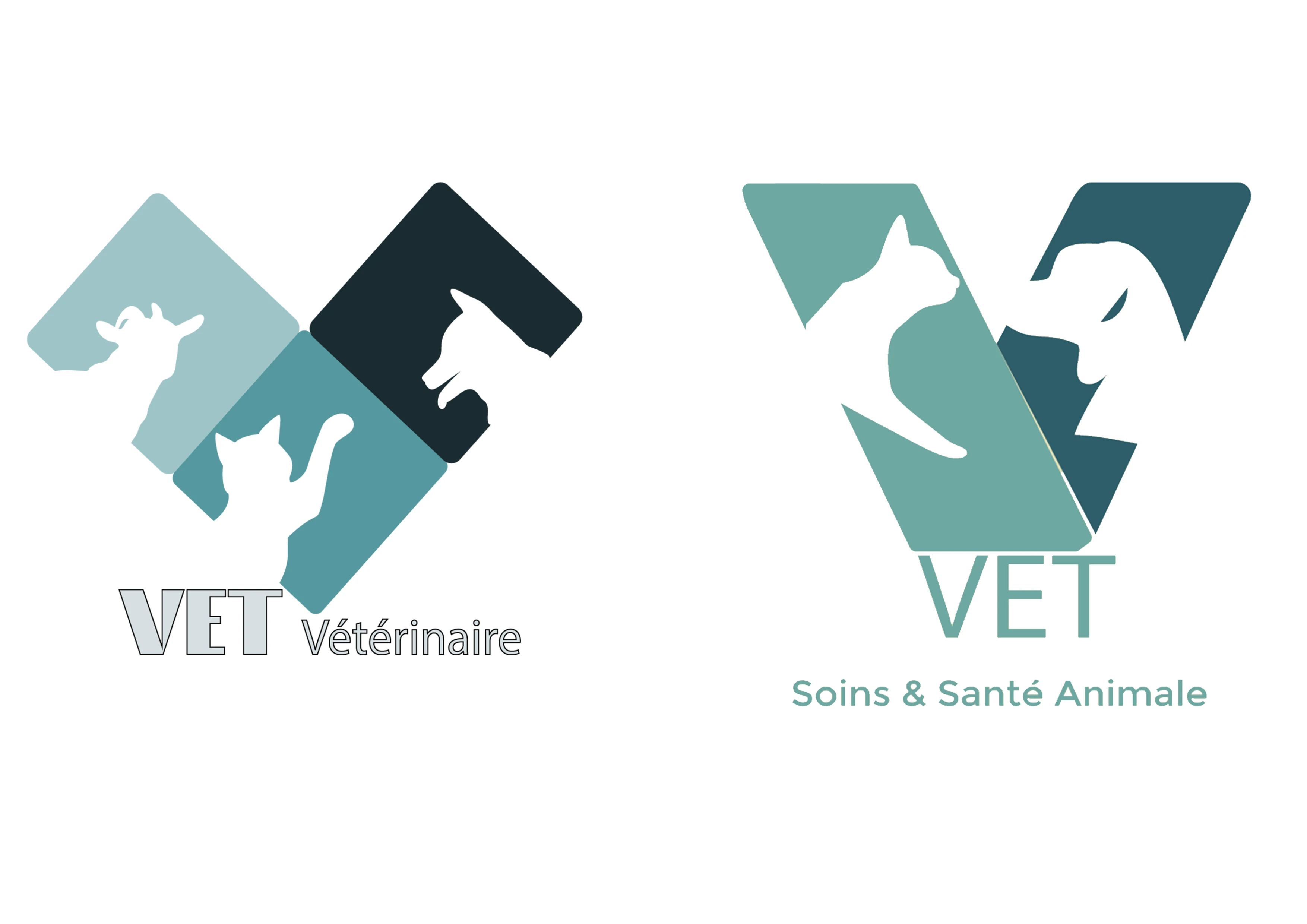 VET Vétérinaire Suisse